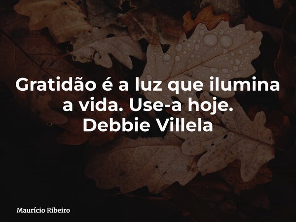 ⁠Gratidão é a luz que ilumina a vida. Use-a hoje. Debbie Villela... Frase de Maurício Ribeiro.