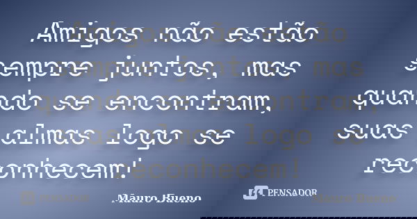 Amigos não estão sempre juntos, mas quando se encontram, suas almas logo se reconhecem!... Frase de Mauro Bueno.