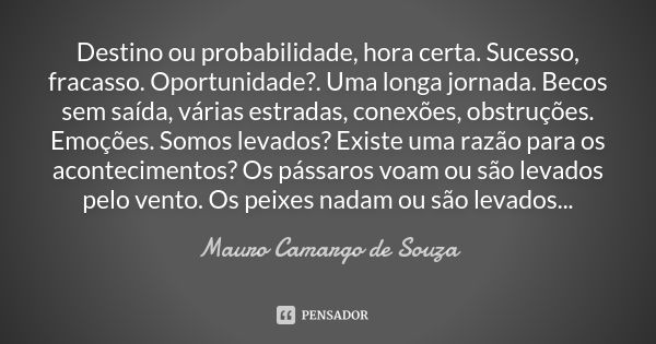 Destino ou probabilidade, hora certa. Sucesso, fracasso. Oportunidade?. Uma longa jornada. Becos sem saída, várias estradas, conexões, obstruções. Emoções. Somo... Frase de Mauro Camargo de Souza.