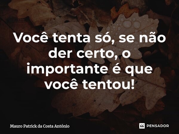 ⁠Você tenta só, se não der certo, o importante é que você tentou!... Frase de Mauro Patrick da Costa António.