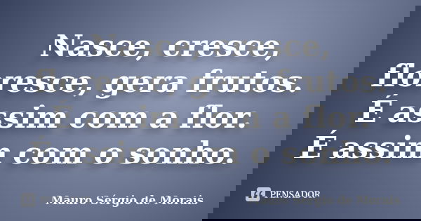 Nasce, cresce, floresce, gera frutos. É assim com a flor. É assim com o sonho.... Frase de Mauro Sérgio de Morais.