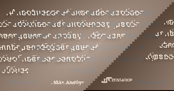 A natureza é uma das coisas mais divinas do universo, pois o homem quem a criou, fez com tamanha perfeição que é impossível não se sentir livre.... Frase de Max Andrey.