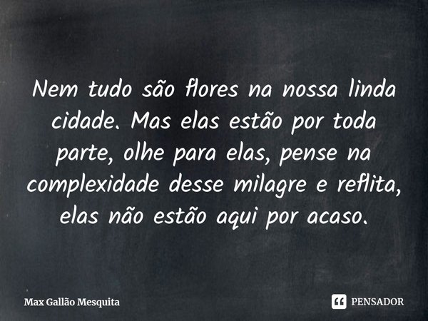 ⁠Nem tudo são flores na nossa linda cidade. Mas elas estão por toda parte, olhe para elas, pense na complexidade desse milagre e reflita, elas não estão aqui po... Frase de Max Gallão Mesquita.