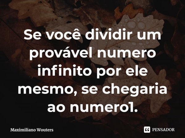 Se Você Dividir Um Provável Numero Maximiliano Wouters Pensador 0218