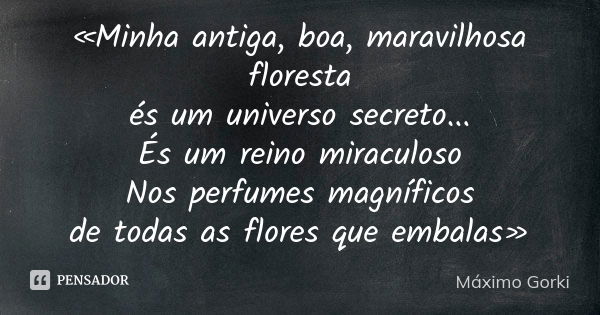 «Minha antiga, boa, maravilhosa floresta és um universo secreto... És um reino miraculoso Nos perfumes magníficos de todas as flores que embalas»... Frase de Máximo Gorki.