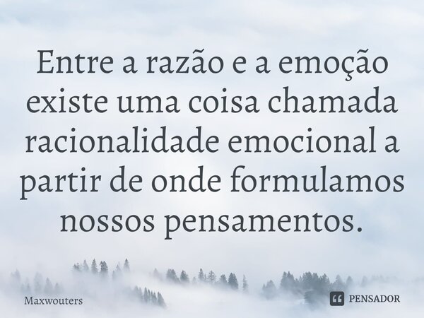 Entre a razão e a emoção existe uma coisa chamada racionalidade emocional a partir de onde formulamos nossos pensamentos.... Frase de Maxwouters.