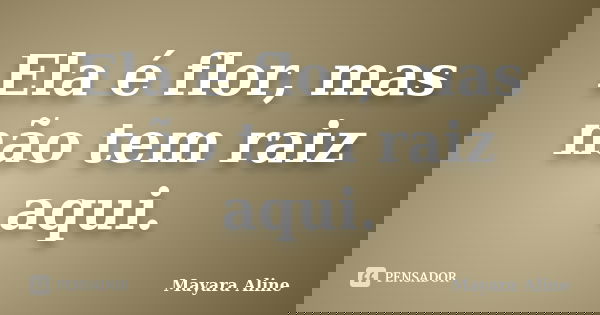 Ela é flor, mas não tem raiz aqui.... Frase de Mayara Aline.