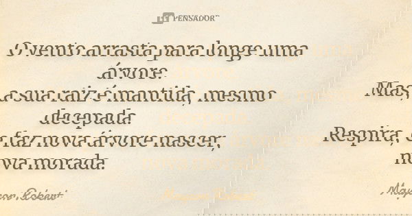 O vento arrasta para longe uma árvore. Mas, a sua raiz é mantida, mesmo decepada. Respira, e faz nova árvore nascer, nova morada.... Frase de Maycon Robert.