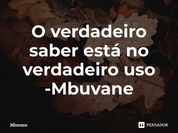 ⁠O verdadeiro saber está no verdadeiro uso
-Mbuvane... Frase de Mbuvane.