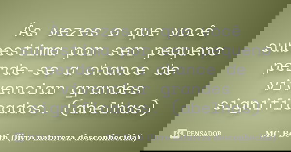 Às vezes o que você subestima por ser pequeno perde-se a chance de vivenciar grandes significados. (abelhas)... Frase de MC Beth ( livro natureza desconhecida).