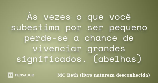 Às vezes o que você subestima por ser pequeno perde-se a chance de vivenciar grandes significados. (abelhas)... Frase de MC Beth ( livro natureza desconhecida).