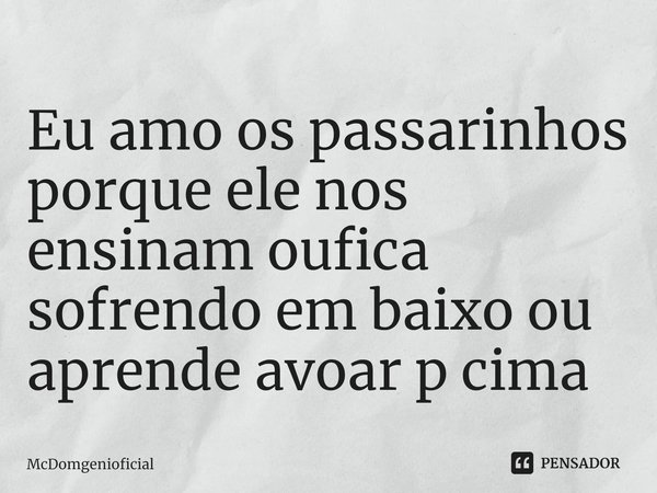 ⁠Eu amo os passarinhos porque ele nos ensinam oufica sofrendo em baixo ou aprende avoar p cima... Frase de McDomgenioficial.