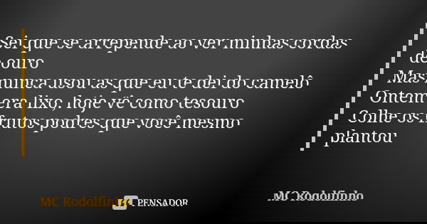 Sei que se arrepende ao ver minhas cordas de ouro Mas nunca usou as que eu te dei do camelô Ontem era lixo, hoje vê como tesouro Colhe os frutos podres que você... Frase de MC Rodolfinho.