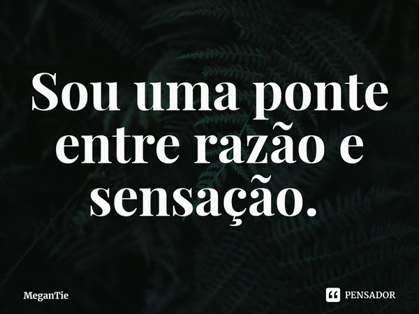 Sou uma ponte entre razão e sensação. ⁠... Frase de MeganTie.