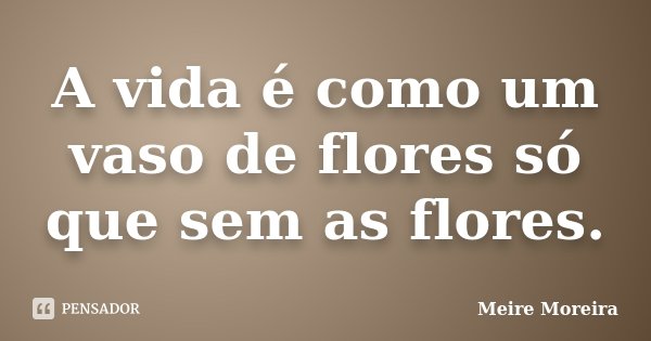 A vida é como um vaso de flores só que sem as flores.... Frase de Meire Moreira.