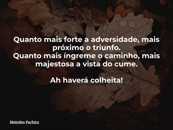 ⁠Quanto mais forte a adversidade, mais próximo o triunfo. Quanto mais íngreme o caminho, mais majestosa a vista do cume. Ah haverá colheita!... Frase de Meireles Pachira.