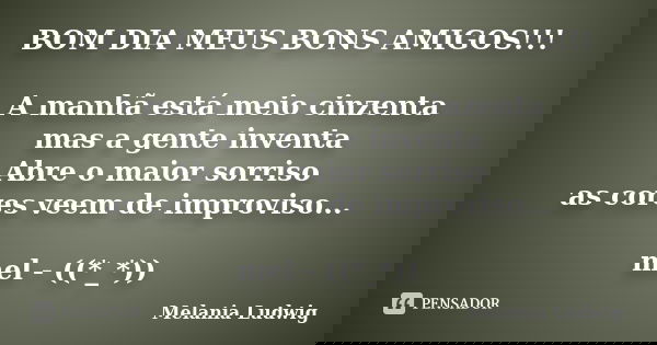 BOM DIA MEUS BONS AMIGOS!!! A manhã está meio cinzenta mas a gente inventa Abre o maior sorriso as cores veem de improviso... mel - ((*_*))... Frase de melania ludwig.