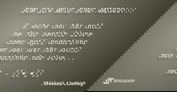 BOM DIA MEUS BONS AMIGOS!!! E este céu tão anil me faz sentir livre como ágil andorinha em seu voo tão sutil mas sozinha não vive... mel - ((*_*))... Frase de melania ludwig.