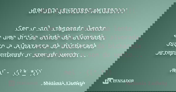 BOM DIA QUERIDOS AMIGOS!!! Com o sol chegando lento e uma brisa ainda da alvorada, ouço a algazarra da bicharada acompanhando o som do vento... mel - ((*_*))... Frase de melania ludwig.