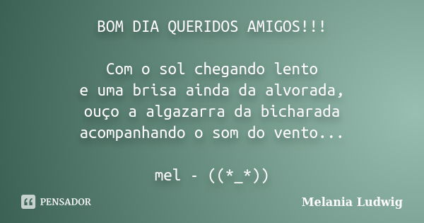 BOM DIA QUERIDOS AMIGOS!!! Com o sol chegando lento e uma brisa ainda da alvorada, ouço a algazarra da bicharada acompanhando o som do vento... mel - ((*_*))... Frase de melania ludwig.