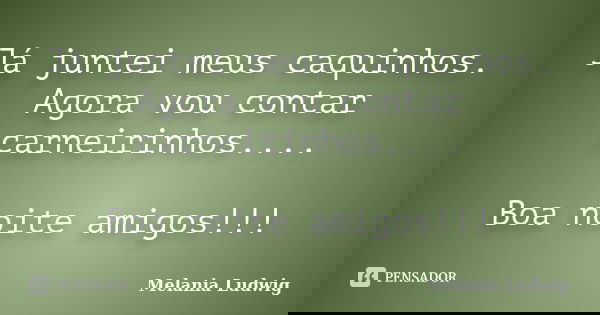 Já juntei meus caquinhos. Agora vou contar carneirinhos.... Boa noite amigos!!!... Frase de melania ludwig.