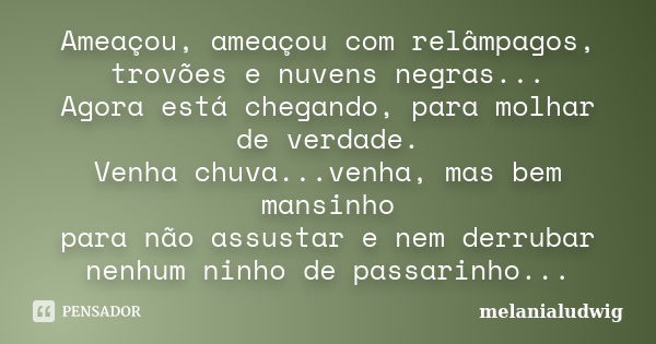 Ameaçou, ameaçou com relâmpagos, trovões e nuvens negras... Agora está chegando, para molhar de verdade. Venha chuva...venha, mas bem mansinho para não assustar... Frase de melanialudwig.