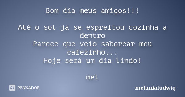 Bom dia meus amigos!!! Até o sol já se espreitou cozinha a dentro Parece que veio saborear meu cafezinho... Hoje será um dia lindo! mel... Frase de melanialudwig.