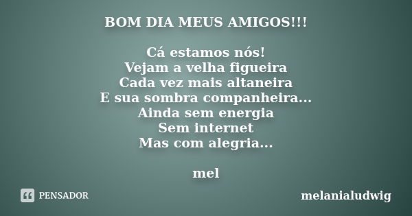 BOM DIA MEUS AMIGOS!!! Cá estamos nós! Vejam a velha figueira Cada vez mais altaneira E sua sombra companheira... Ainda sem energia Sem internet Mas com alegria... Frase de melanialudwig.