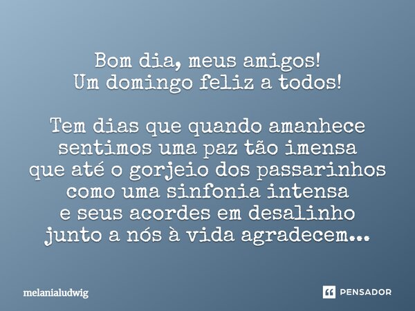 Bom dia, meus amigos! Um domingo feliz a todos! Tem dias que quando amanhece sentimos uma paz tão imensa que até o gorjeio dos passarinhos como uma sinfonia int... Frase de melanialudwig.