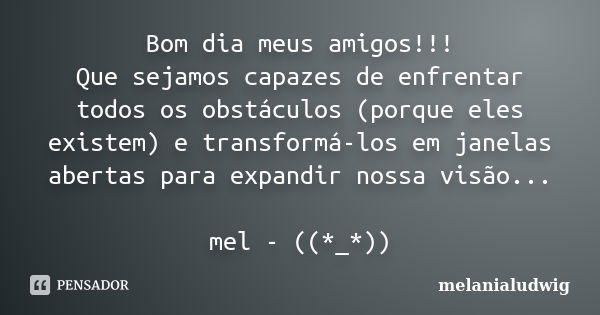 Bom dia meus amigos!!! Que sejamos capazes de enfrentar todos os obstáculos (porque eles existem) e transformá-los em janelas abertas para expandir nossa visão.... Frase de melanialudwig.