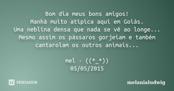 Bom dia meus bons amigos! Manhã muito atípica aqui em Goiás. Uma neblina densa que nada se vê ao longe... Mesmo assim os pássaros gorjeiam e também cantarolam o... Frase de melanialudwig.