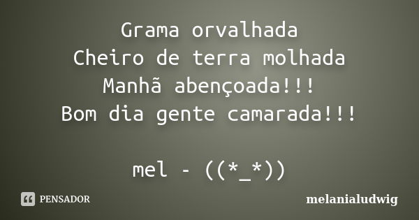 Grama orvalhada Cheiro de terra molhada Manhã abençoada!!! Bom dia gente camarada!!! mel - ((*_*))... Frase de melanialudwig.