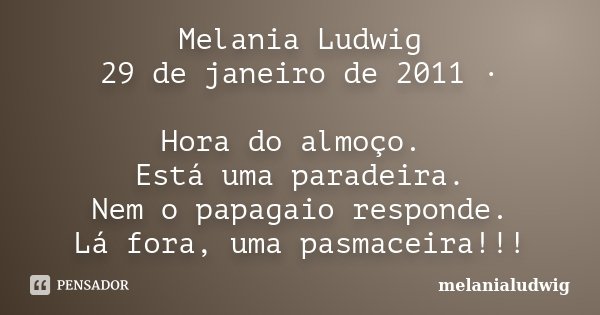 Melania Ludwig 29 de janeiro de 2011 · Hora do almoço. Está uma paradeira. Nem o papagaio responde. Lá fora, uma pasmaceira!!!... Frase de melanialudwig.