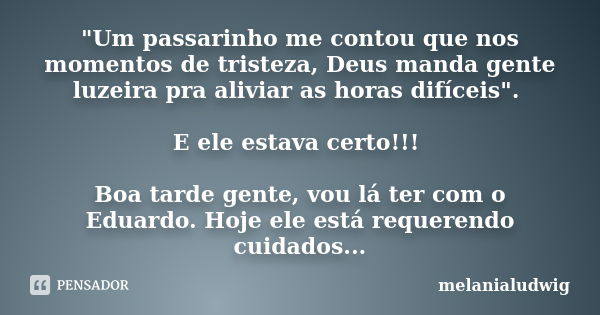 "Um passarinho me contou que nos momentos de tristeza, Deus manda gente luzeira pra aliviar as horas difíceis". E ele estava certo!!! Boa tarde gente,... Frase de melanialudwig.