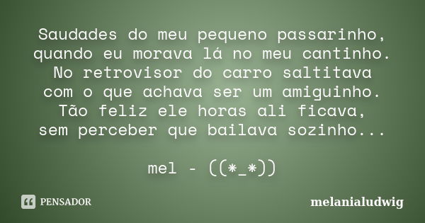 Saudades do meu pequeno passarinho, quando eu morava lá no meu cantinho. No retrovisor do carro saltitava com o que achava ser um amiguinho. Tão feliz ele horas... Frase de melanialudwig.