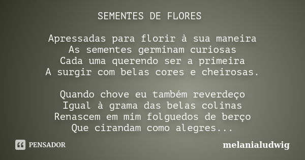 SEMENTES DE FLORES Apressadas para florir à sua maneira As sementes germinam curiosas Cada uma querendo ser a primeira A surgir com belas cores e cheirosas. Qua... Frase de melanialudwig.