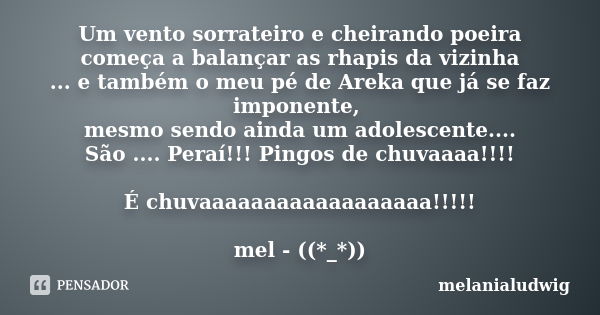 Um vento sorrateiro e cheirando poeira começa a balançar as rhapis da vizinha ... e também o meu pé de Areka que já se faz imponente, mesmo sendo ainda um adole... Frase de melanialudwig.