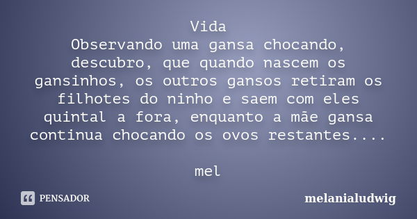 Vida Observando uma gansa chocando, descubro, que quando nascem os gansinhos, os outros gansos retiram os filhotes do ninho e saem com eles quintal a fora, enqu... Frase de melanialudwig.