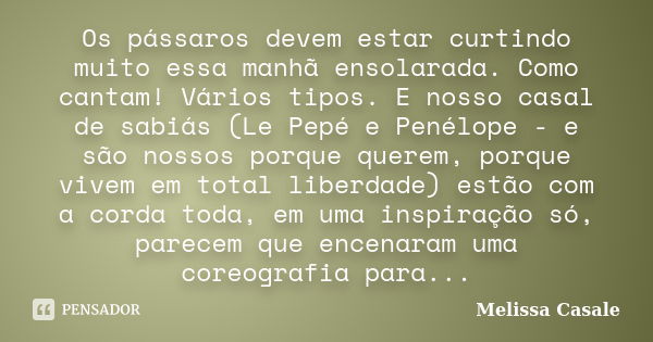 Os pássaros devem estar curtindo muito essa manhã ensolarada. Como cantam! Vários tipos. E nosso casal de sabiás (Le Pepé e Penélope - e são nossos porque quere... Frase de Melissa Casale.