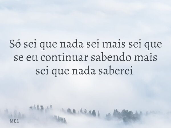 Só sei que nada sei mais sei que se eu continuar sabendo mais sei que nada saberei ⁠... Frase de MEL.
