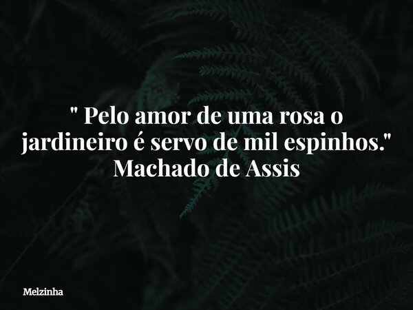 ⁠" Pelo amor de uma rosa o jardineiro é servo de mil espinhos." Machado de Assis... Frase de Melzinha.