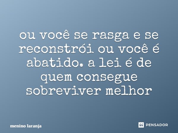 ou você se rasga e se reconstrói ou você é abatido. a lei é de quem consegue sobreviver melhor⁠... Frase de menino laranja.