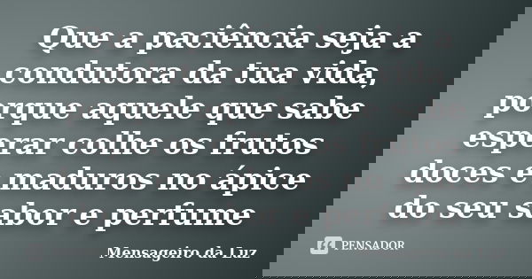 Que a paciência seja a condutora da tua vida, porque aquele que sabe esperar colhe os frutos doces e maduros no ápice do seu sabor e perfume... Frase de Mensageiro da Luz.