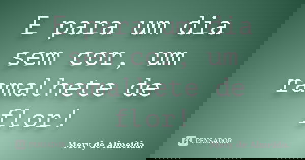 E para um dia sem cor, um ramalhete de flor!... Frase de Mery de Almeida..