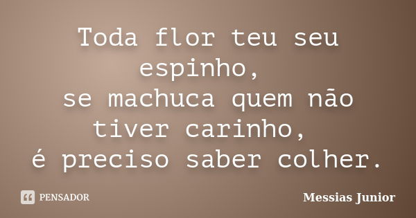 Toda flor teu seu espinho, se machuca quem não tiver carinho, é preciso saber colher.... Frase de Messias Junior.