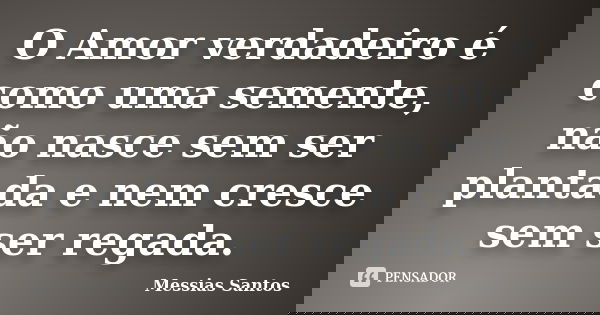 O Amor verdadeiro é como uma semente, não nasce sem ser plantada e nem cresce sem ser regada.... Frase de Messias Santos.