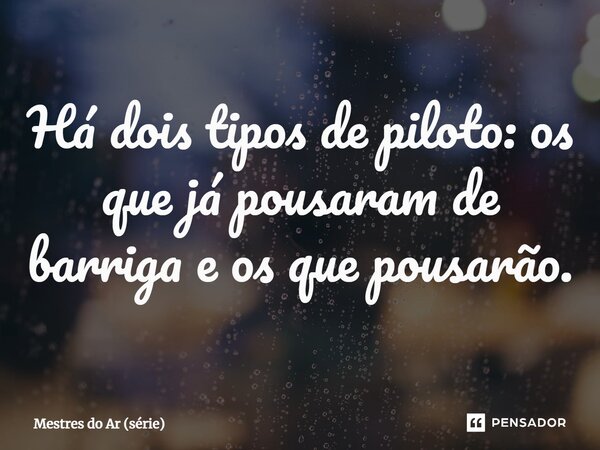 ⁠Há dois tipos de piloto: os que já pousaram de barriga e os que pousarão.... Frase de Mestres do Ar (série).