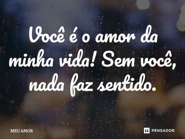 Você é o amor da minha vida! Sem você, nada faz sentido.... Frase de MEU AMOR.