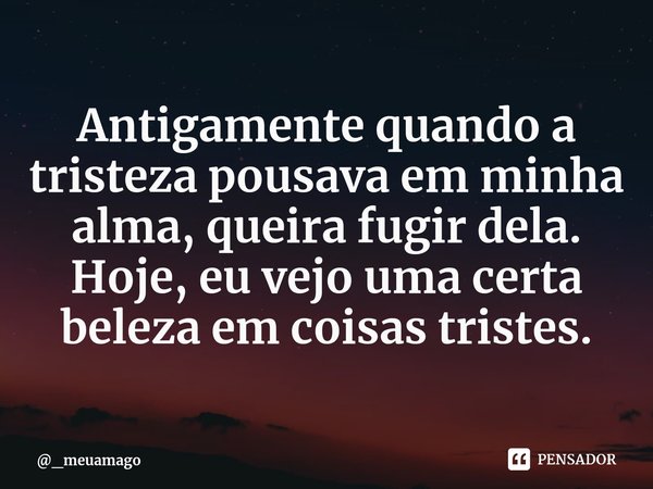 ⁠Antigamente quando a tristeza pousava em minha alma, queira fugir dela. Hoje, eu vejo uma certa beleza em coisas tristes.... Frase de _meuamago.