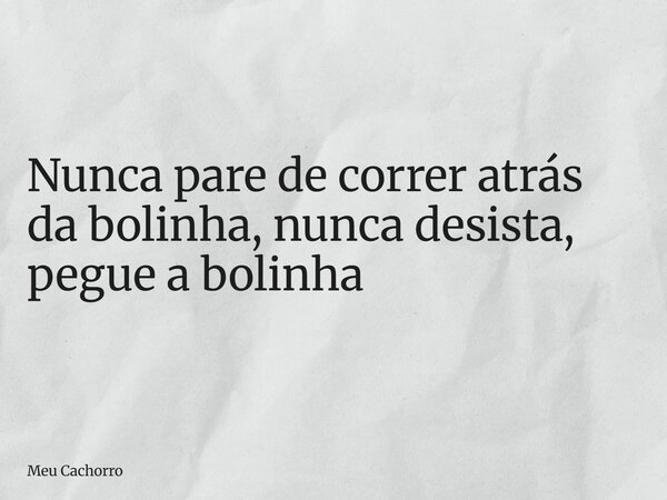 Nunca pare de correr atrás da bolinha, nunca desista, pegue a bolinha... Frase de Meu Cachorro.